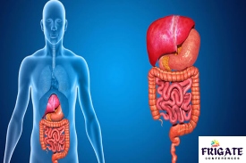 International Conference on Gastroenterology Research & Therapy